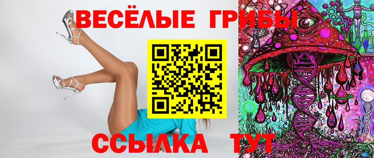 Галлюциногенные грибы Psilocybe  наркошоп  Кирово-Чепецк  Вход с VPN 